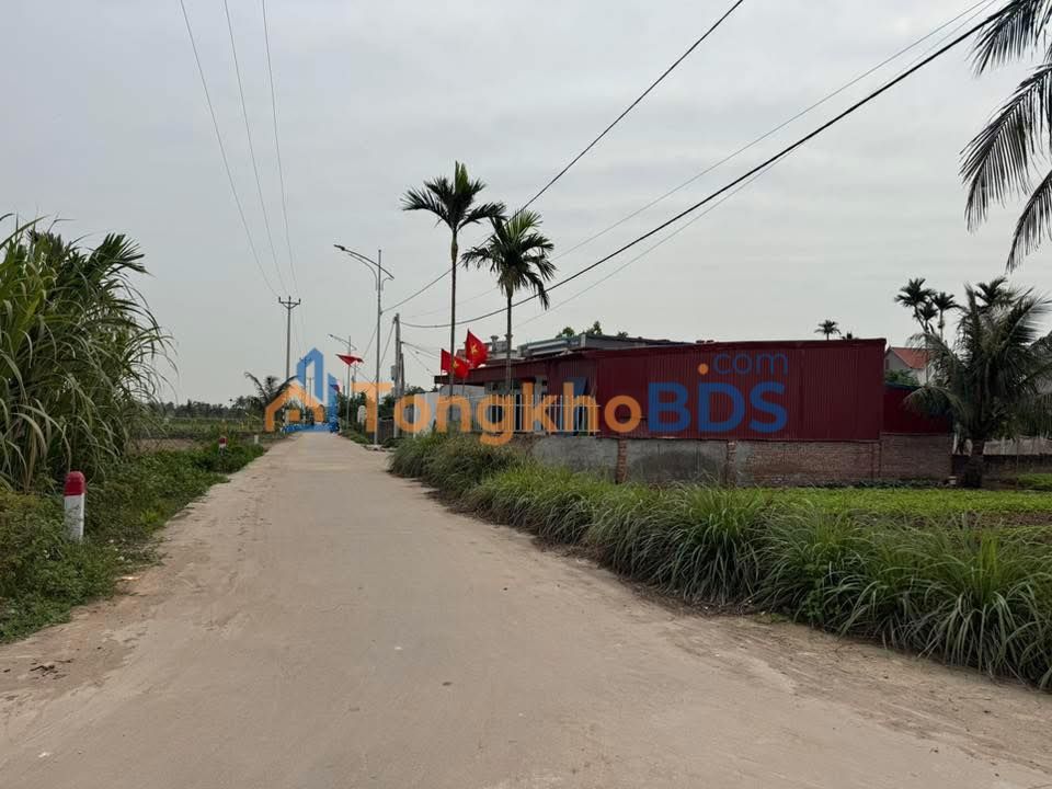 Đất Vàng Vĩnh Bảo, Hải Phòng - 98.8m² Sẵn Sổ, Gần KCN Chấn Hưng