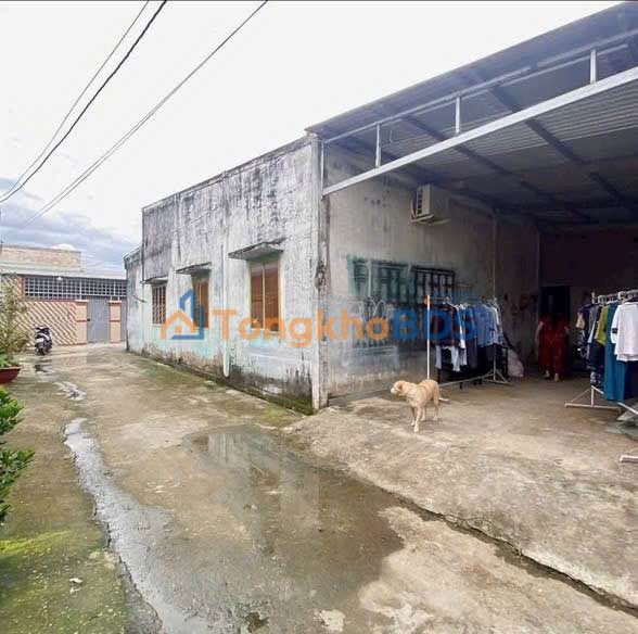 Đất Vườn 230m² Bến Tre - 2 Mặt Tiền Đường Ô Tô, Giá 1.05 Tỷ