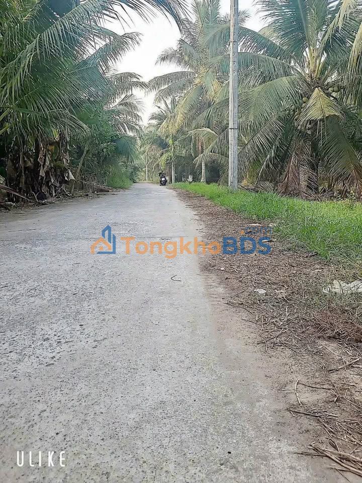 Đất nền Bến Tre 1997m² - Đường xe hơi, giá 1.8 tỷ