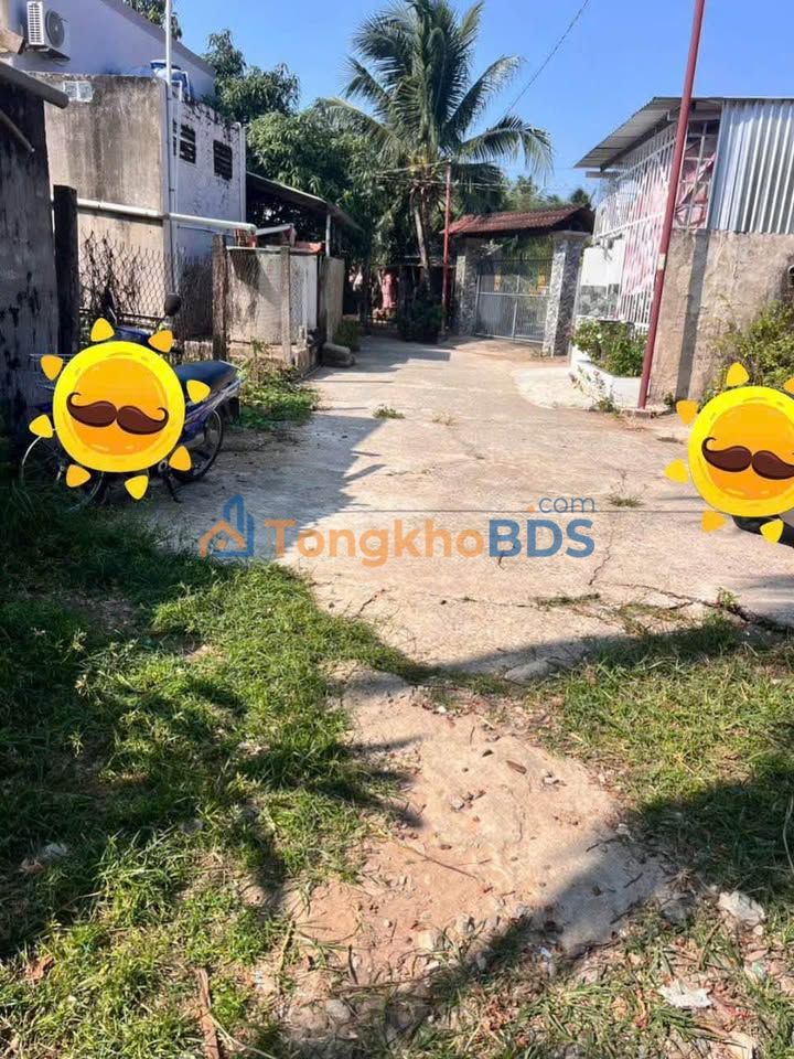 Bán Gấp Nhà 101.5m² Xã Phú Thuận, Bình Đại - Sổ Hồng Full Thổ Cư, Ô Tô Tới Tận Nơi