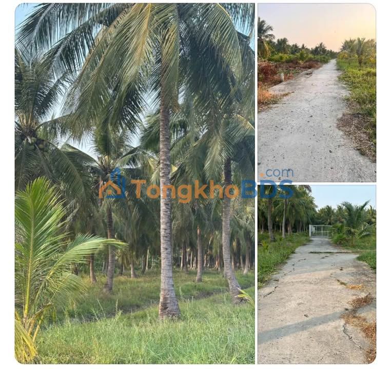 Bán Đất Nền Xã Châu Hưng, Vĩnh Long 500m² Giá 270 Triệu