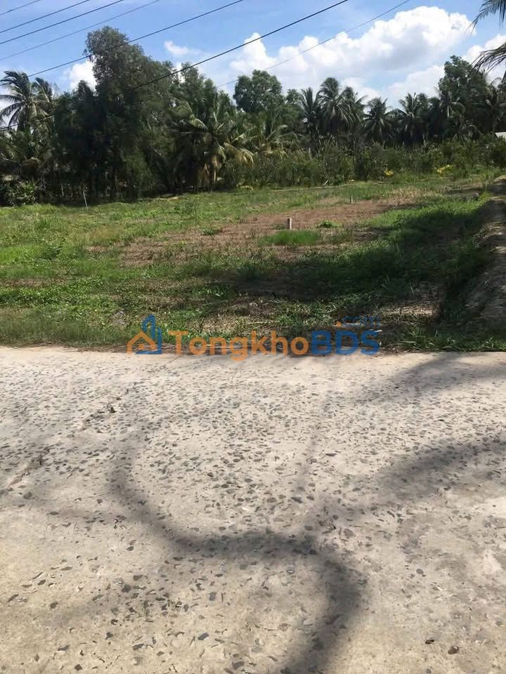 Đất Nền 2500m² Xã Tường Đa, Châu Thành - Sổ Đỏ Riêng, Mặt Tiền Rộng 50m