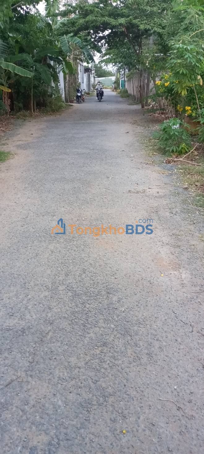 Bán Đất Thổ Cư 115m² Ấp Đa Cần, Ba Tri, Bến Tre - Sổ Đỏ Sẵn Sàng