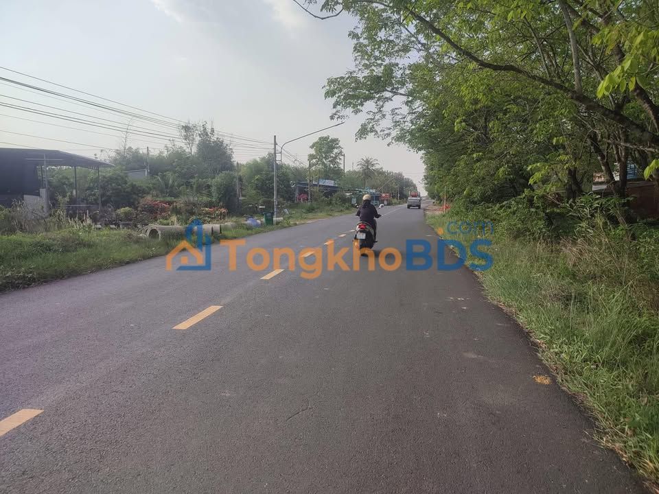 Bán Gấp Đất Vàng DT748 Dầu Tiếng 748m² - Hai Mặt Tiền Kinh Doanh