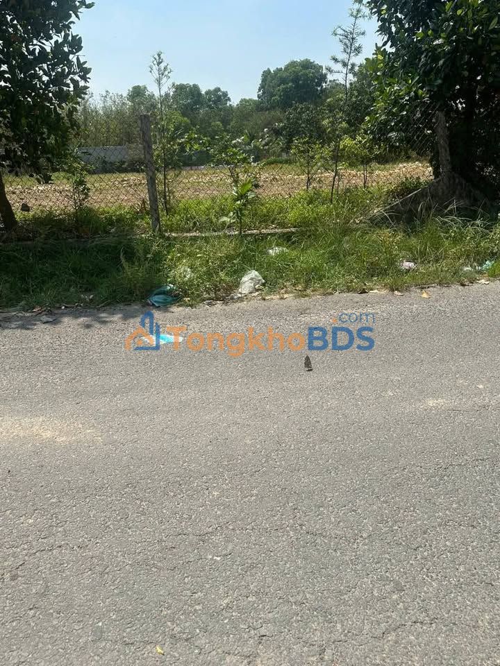 Bán Đất Vườn 546m² Phường Phú Chánh, Tân Uyên - Sổ Riêng, Giá 6 Tỷ