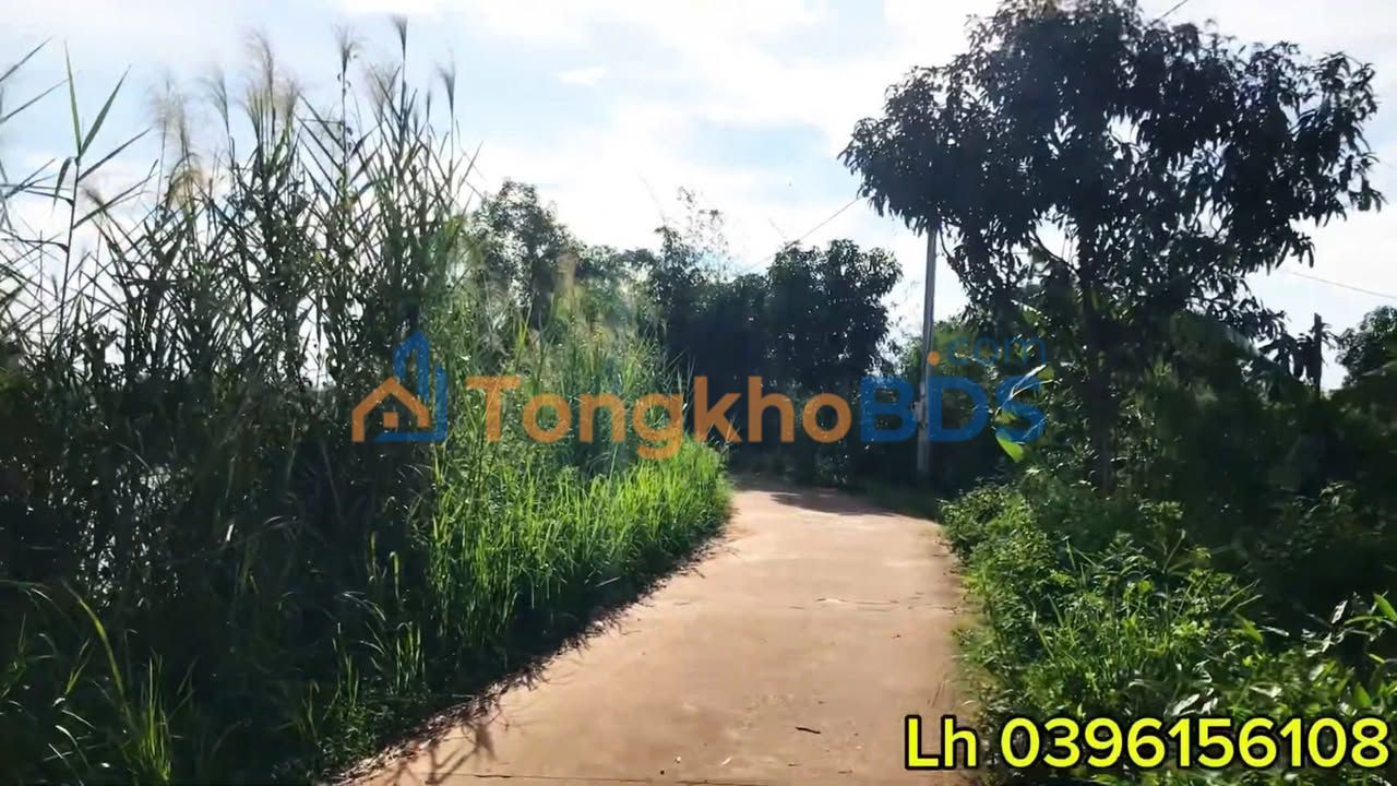 Bán Gấp 6.7ha Đất Vườn Ao Cá Tân Phú, Đồng Nai - Giá Đầu Tư