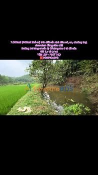 Bán Đất Vườn 7000m² Phú Thọ - View Đồng Mát Lạnh, Sẵn Nhà Ở