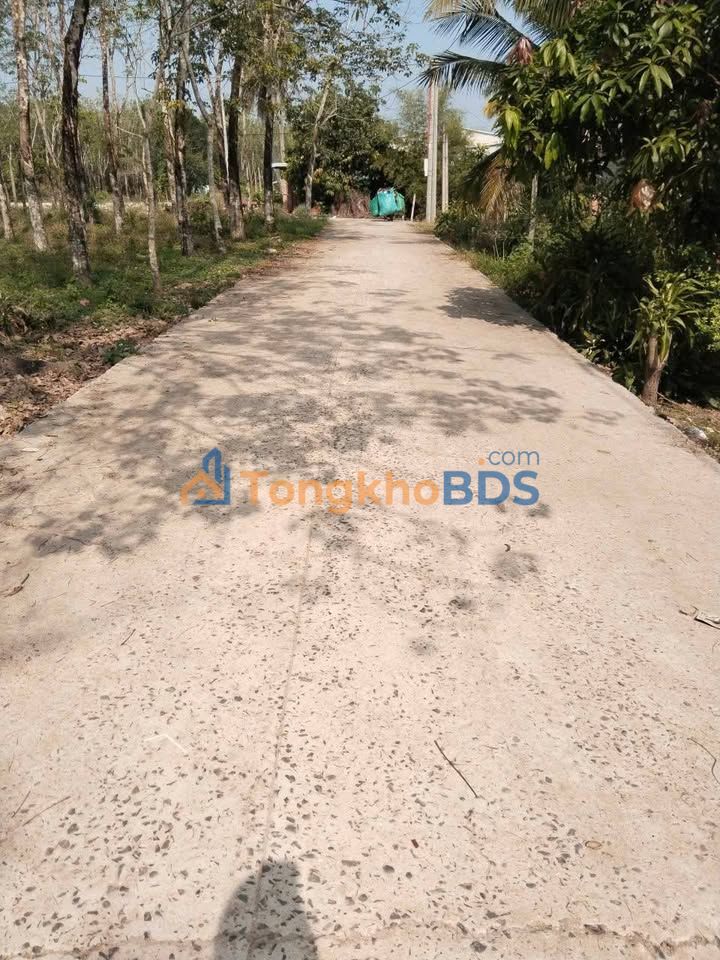 Đất Mặt Tiền 936m² Đường Giồng Cà, Tây Ninh - Sổ HNK Giá 350 Triệu