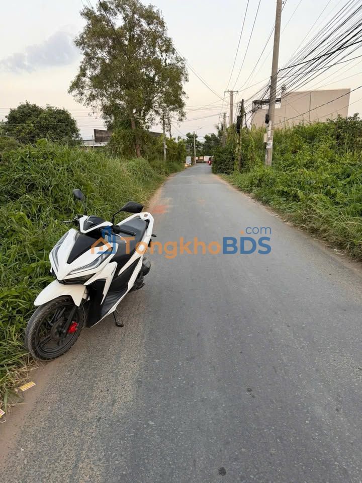 Đất Nền Mặt Tiền Nhựa Chùa Long Trường, Cần Giuộc - 335m² Sổ Hồng Riêng