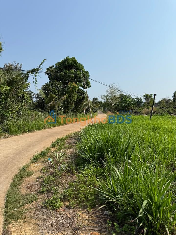 Bán Gấp 3600m² Đất CLN Phú Lộc, Đồng Nai - Giá 968 Triệu