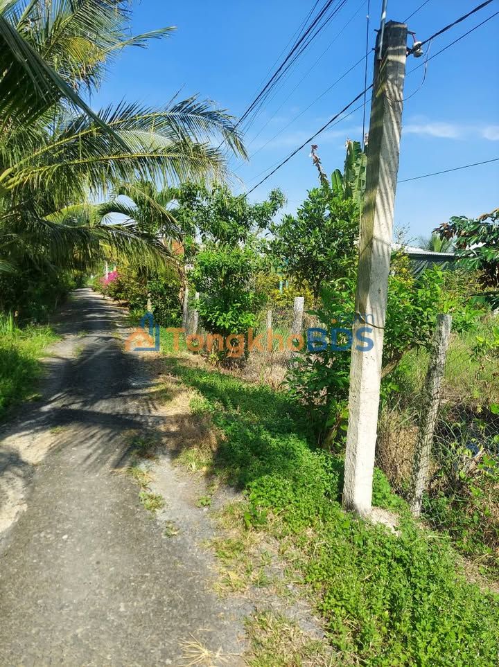 Đất vườn Long Hồ 1.000m² thỏa thuận - Đầu tư dài hạn