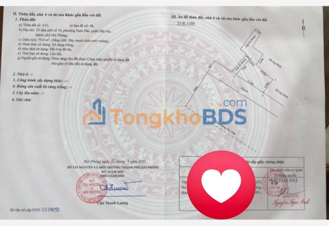 Nhà Mặt Tiền Bùi Viện, Hải An - 79m² Kinh Doanh Đa Ngành Nghề