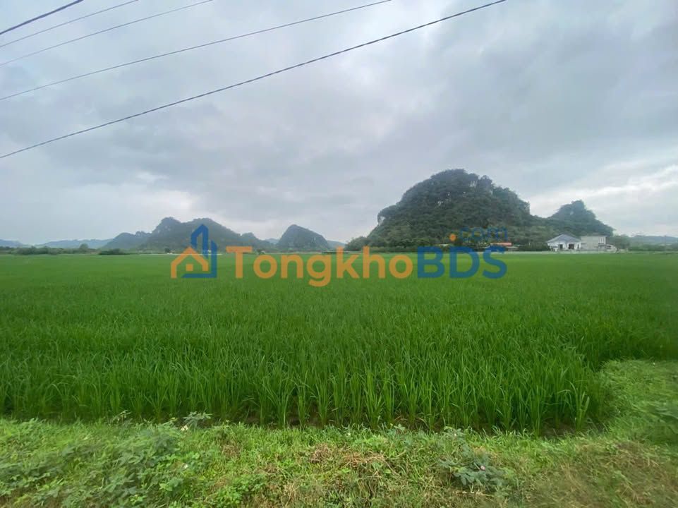 Bán Đất Yên Thủy Hòa Bình 738m² - View Đồng Ruộng Bao La, Gần Trường Trạm