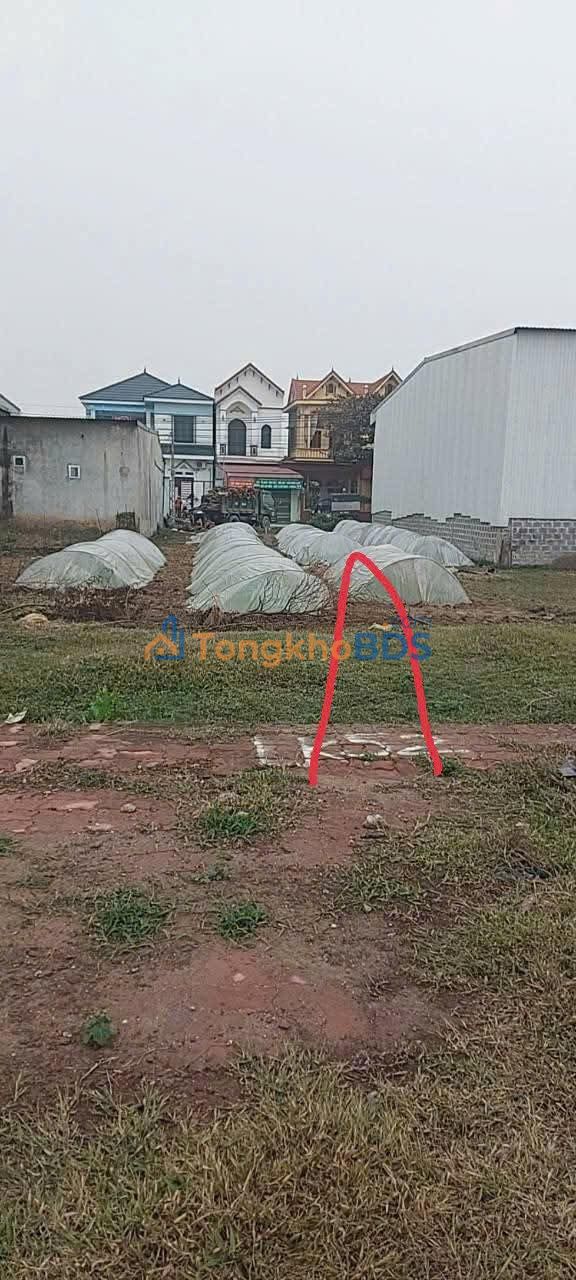 Đất Sổ Đỏ Cương Chính, Tiên Lữ 90m² - Giá 1.2 Tỷ, Mặt Tiền Rộng