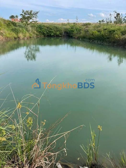 Bán đất rẫy 1.6ha mặt tiền đường nhựa 100m tại Ea Súp, Đắk Lắk - Giá 3.2 tỷ