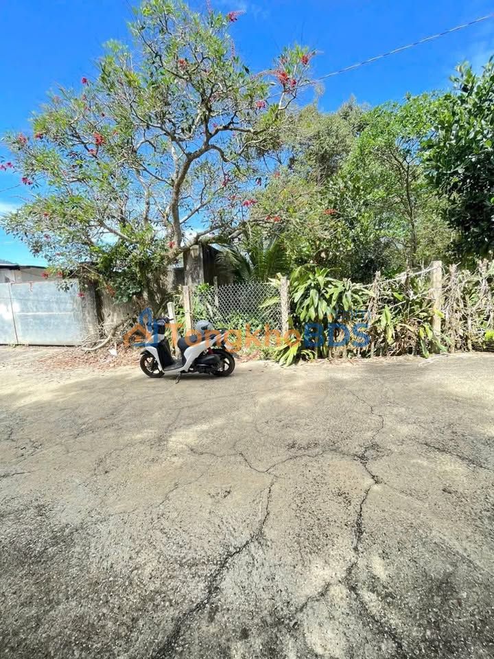 Bán Đất Vàng Ngã 4 Tố Hữu, Bảo Lộc - 597m² Nở Hậu, Sẵn Sàng Xây Dựng