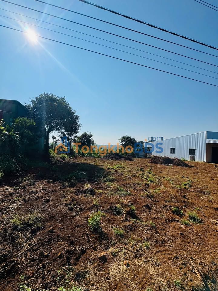 Đất Mặt Tiền Khúc Thừa Dụ, Bảo Lâm 725m² - Giá Đầu Tư 43.5 Tỷ