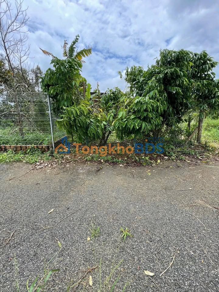 Đất Nền Hẻm Ngô Đức, TP Bảo Lộc 165m² - Sổ Thổ Cư, Giá Tốt 1.25 Tỷ