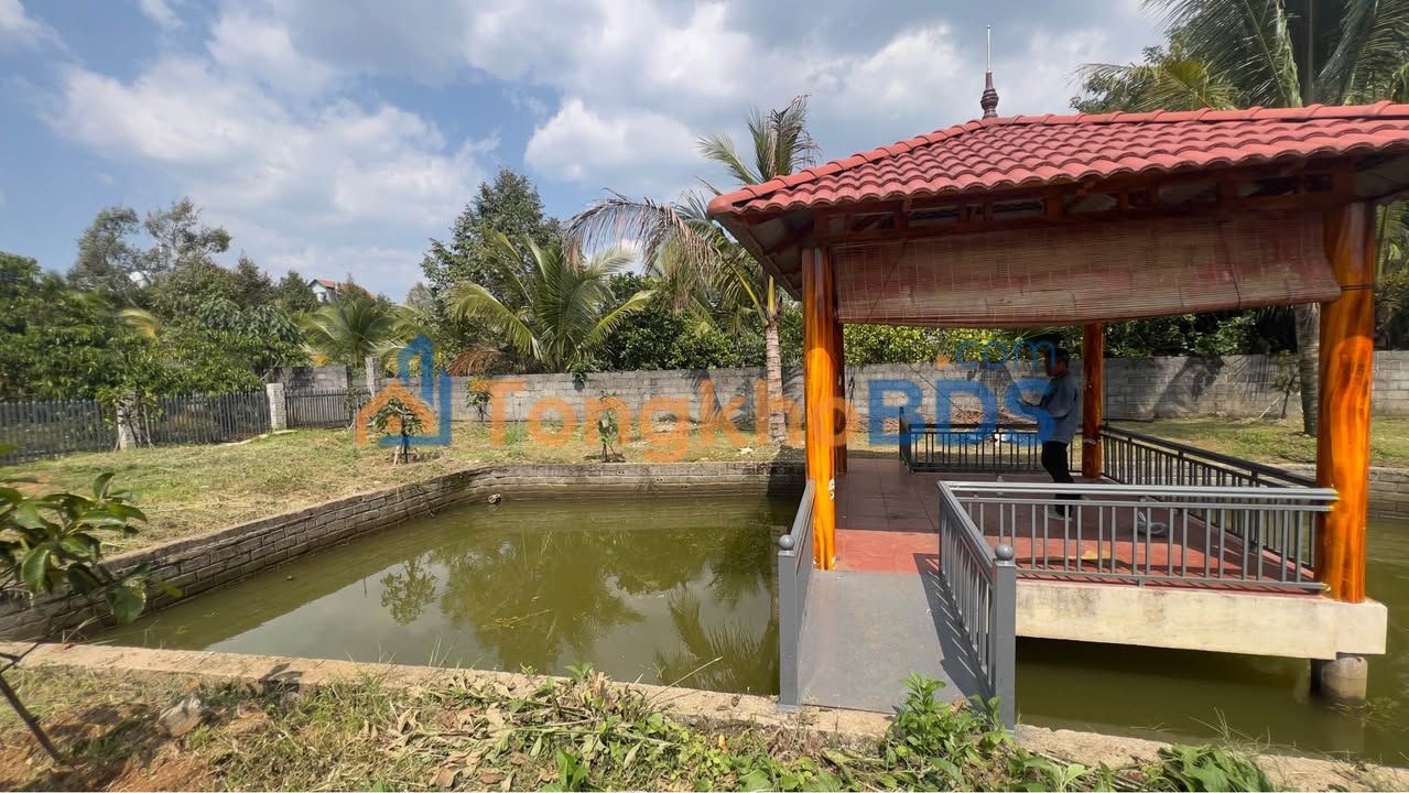 Farm nghỉ dưỡng 1200m² tại Bảo Lộc - Giá 3 tỷ, view hồ cá, cây trái