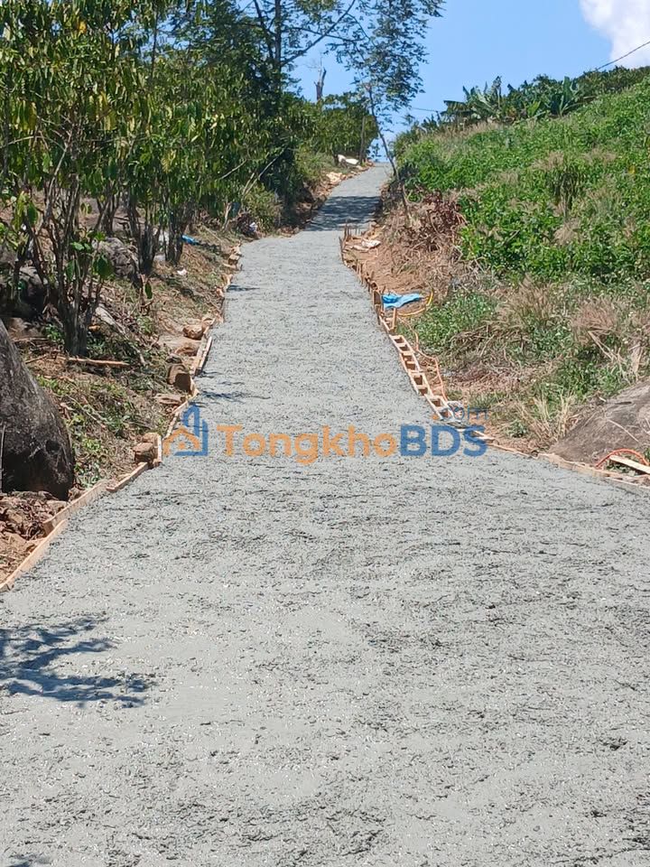 Bán Gấp Farm 15.000m² Đức Trọng, Lâm Đồng - Sổ Sạch, Giá 3.8 Tỷ