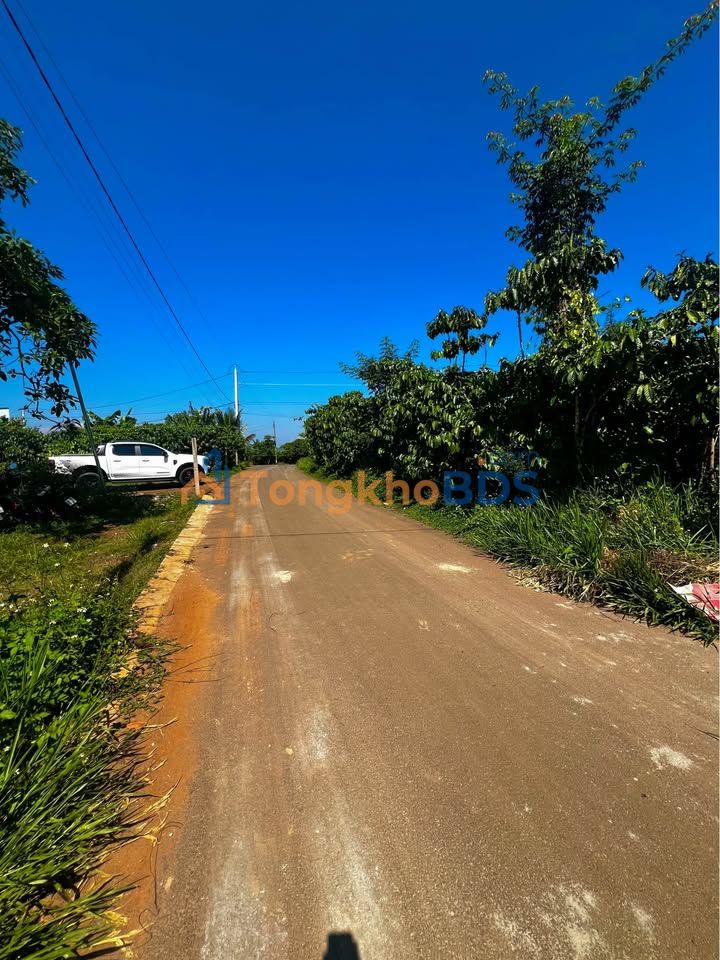 Đất Lộc An, Bảo Lâm: 1250m² Thổ Cư, Sẵn Sàng Xây Dựng - Giá 620 Triệu