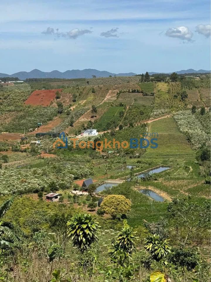 Đất Vườn Đà Lạt 2200m² - Sổ Đỏ Chính Chủ, Giá Đầu Tư 1.25 Tỷ