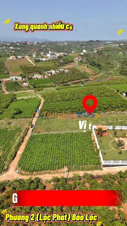 Đất nền Bảo Lộc 2000m² - View đẹp, đầu tư sinh lời cao