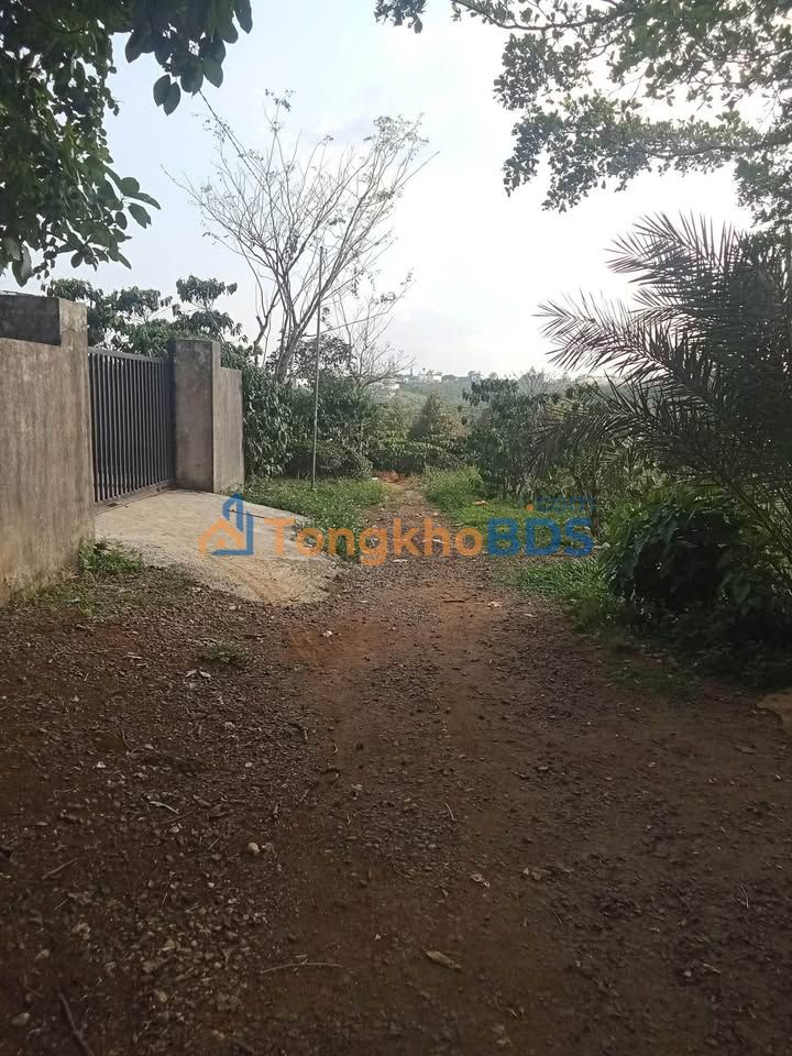 Đất Nền Bảo Lâm 150m² - Chính Chủ Bán Gấp Giá Tốt