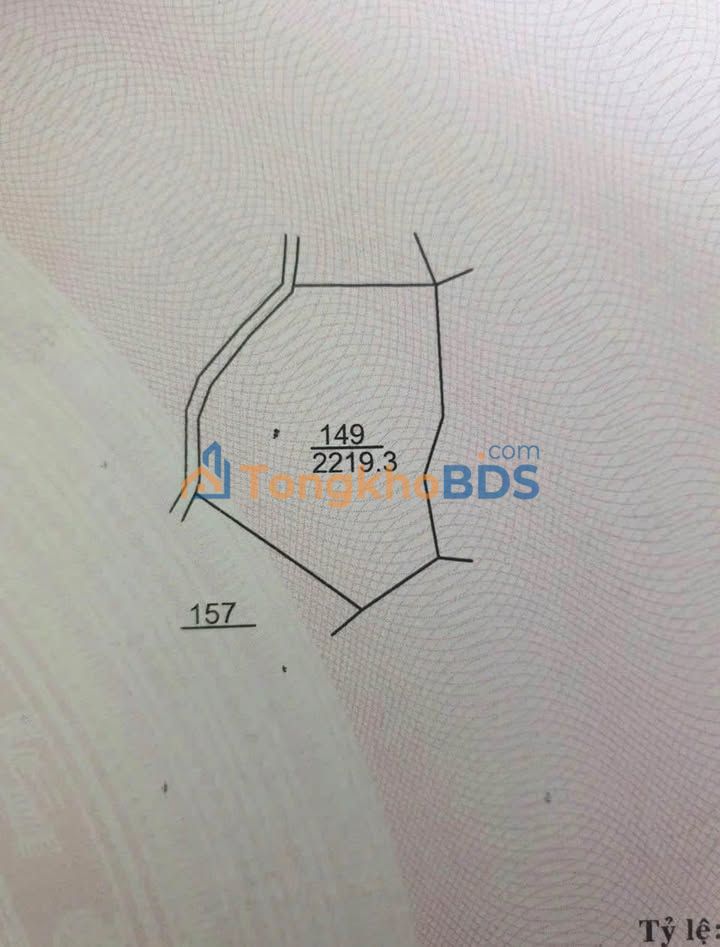 Đất Nền Nghỉ Dưỡng Lâm Đồng 2.219m² - Sổ Đỏ Sẵn Sàng