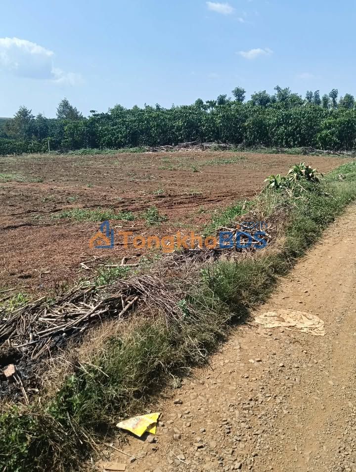 Đất nền Di Linh 627m² - Sổ đỏ chính chủ, giá đầu tư 4.18 tỷ