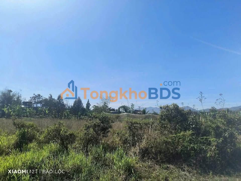 Đất thổ cư Lộc Châu, Bảo Lộc 360m² - Sổ hồng riêng, mặt tiền nhựa