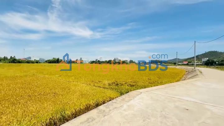 Đất Vườn Quỳnh Mai - View Sông Đập An Thuận, Tuy Phước - 1.260m²