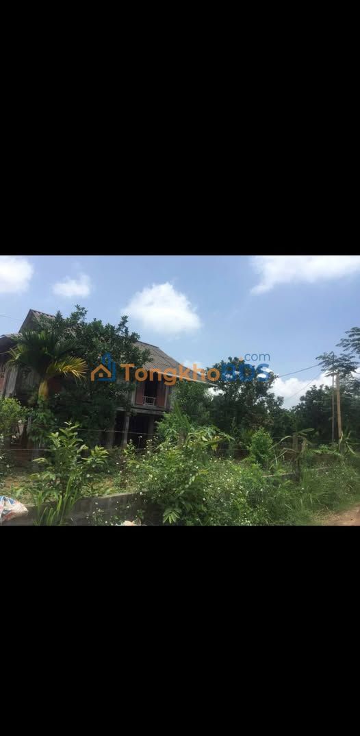 Bán đất Phú Vinh, Tân Lạc, Hòa Bình - 830m² giá 800 triệu, có nhà sàn