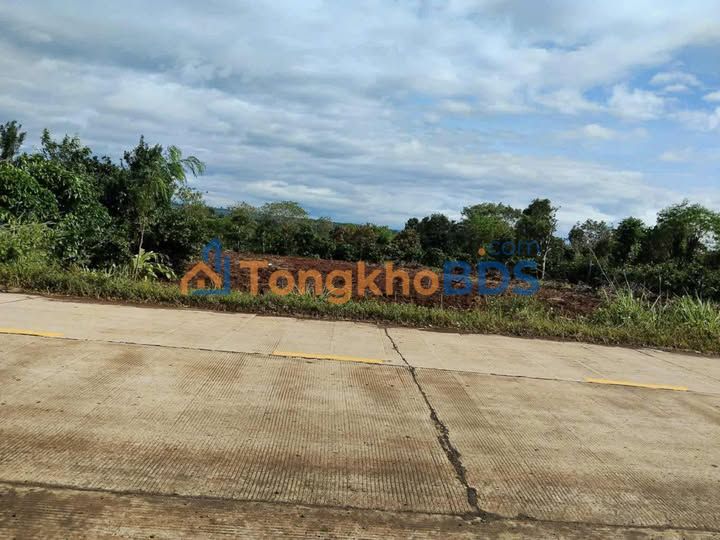 Bán đất Quốc lộ 29, Krông Năng 1500m² - Thích hợp kinh doanh, làm kho