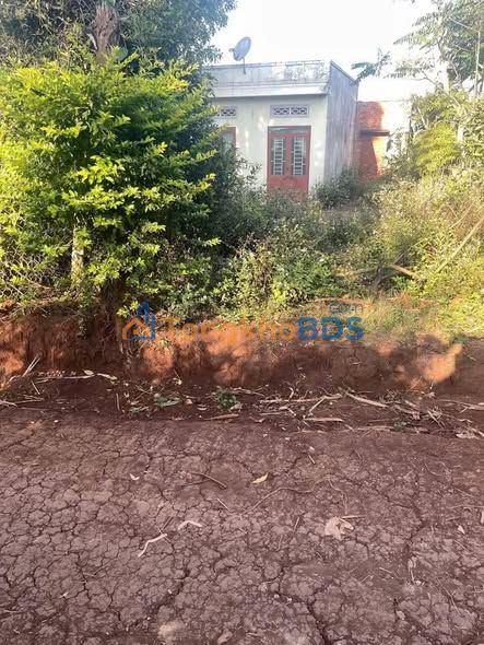 Bán Đất 750m² Buôn Trấp, Đắk Lắk - Sổ TC, Giá Tốt