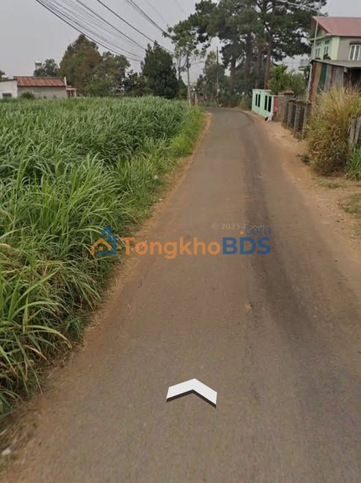 Bán Gấp 2 Lô Đất Vàng Đức Trọng, Lâm Đồng - 800m² Sẵn Sổ