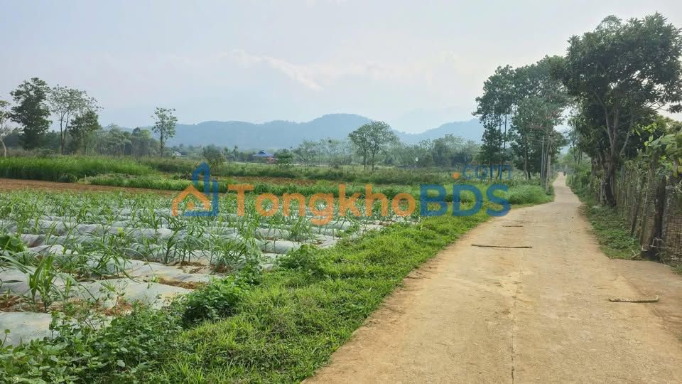 Đất Nền Phong Quang - 4085m² 2 Mặt Tiền, Giá Chỉ 1 Tỷ