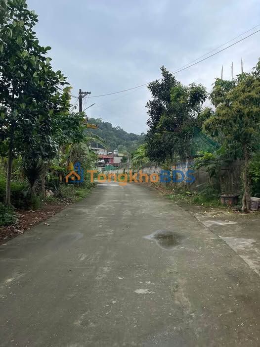 Đất Nền 100m² Xuân Thuỷ, Hà Giang - Mặt Tiền 5m Cực Đẹp