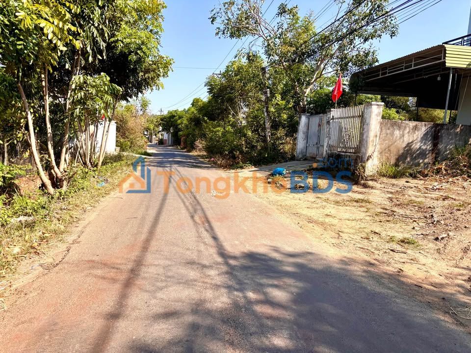 Mặt Tiền Kinh Doanh Nguyễn Trường Tộ, BMT - 513m² Thổ Cư, Giá Tốt