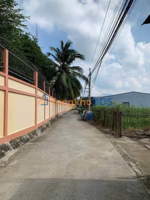 Đất Vườn Đồng Tháp 100m² - Sổ Hồng Thổ Cư, Sẵn Sàng Xây Dựng