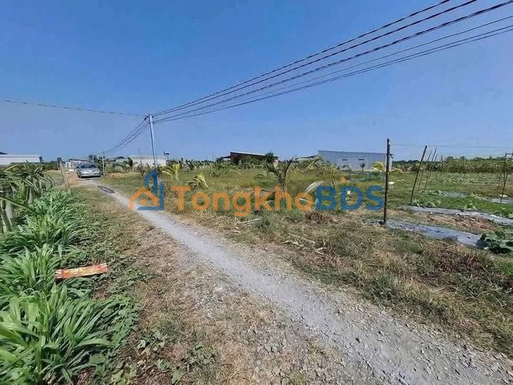 Bán Gấp Đất Vườn 1000m² Sổ Đỏ Tại Châu Thành, Long An - Giá Đầu Tư 450 Triệu