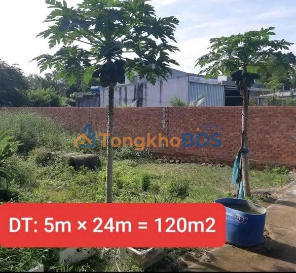 Đất nền Long Thành 120m² gần ĐH Công nghệ Đồng Nai - Sổ hồng sẵn