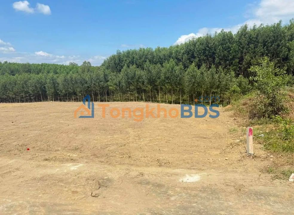 Đất Vườn Diên Khánh 639m² - Giá 450 Triệu - Nghỉ Dưỡng Lý Tưởng