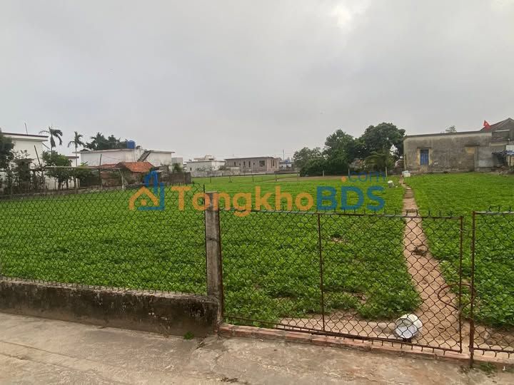 Đất nền Giao Thủy, Nam Định 280m² - Sổ hồng sẵn, giá chỉ 1 tỷ