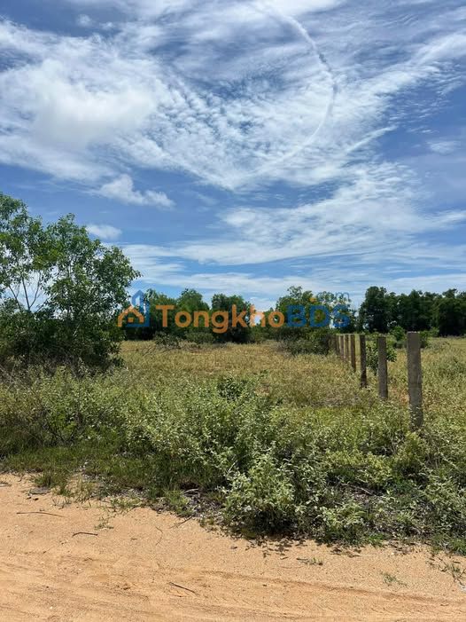 Đất Vàng Phú Quốc 1000m² Gần Sân Bay - Sổ Sẵn 1.15 Tỷ