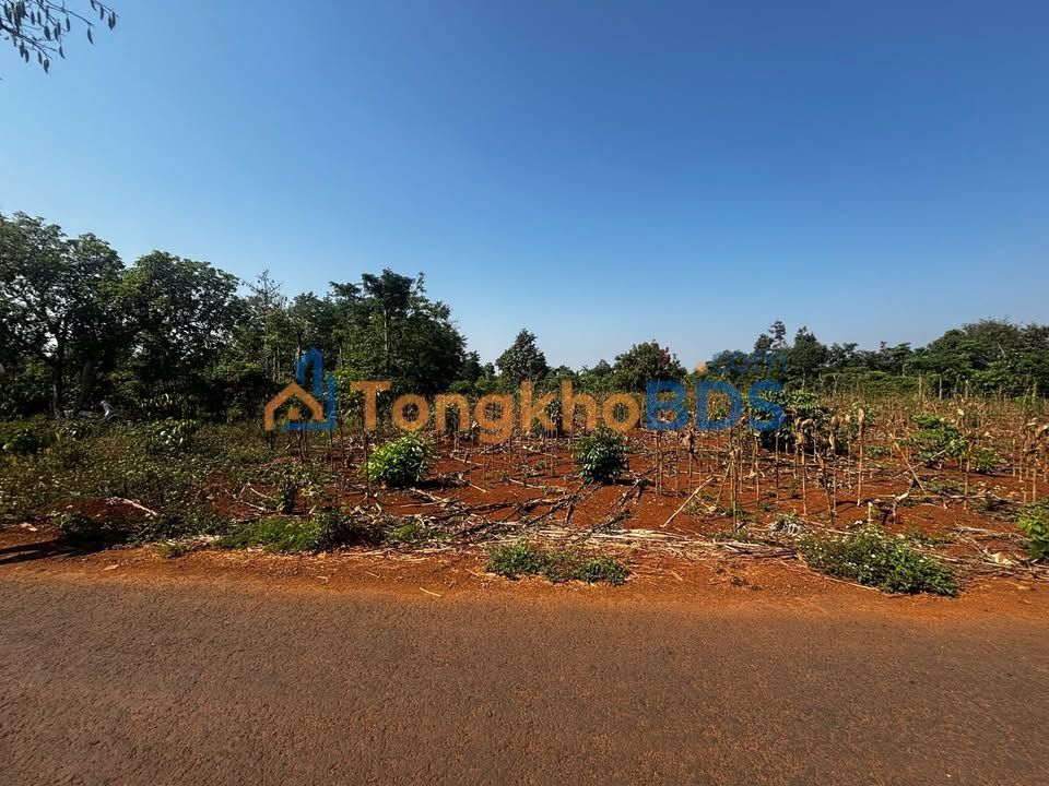 Bán Đất Vườn 1693m² Mặt Tiền Đường Nhựa Hòa Xuân Tây, Phú Yên - Giá 1.4 Tỷ