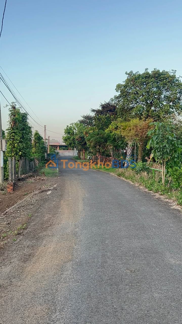 Đất nền Hẻm C1, Ea Tam, BMT - 162m² Sổ Đỏ Giá 970 Triệu