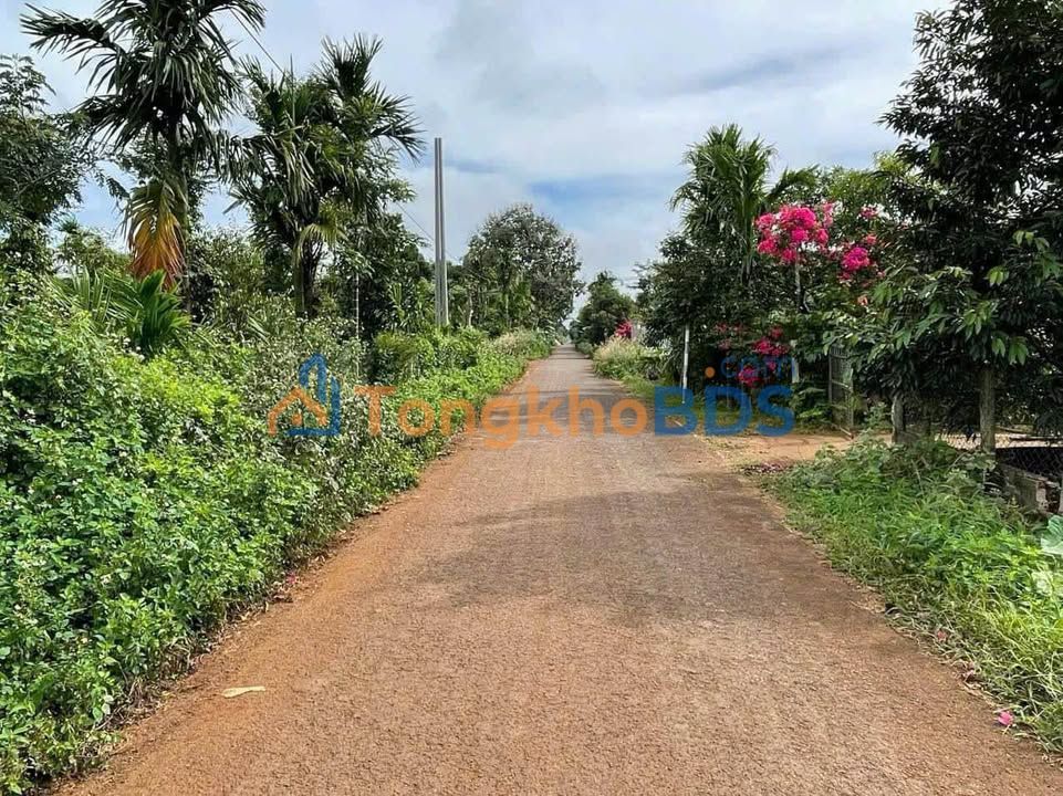 Đất Vàng Quốc Lộ 26, Buôn Ma Thuột - 312m² Thổ Cư, Sẵn Sổ Hồng
