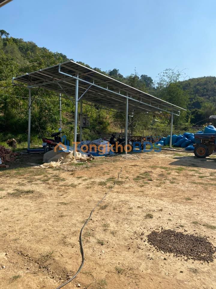 Đất rẫy Buôn Triết 1,2ha giá 600 triệu - Sổ đỏ chính chủ