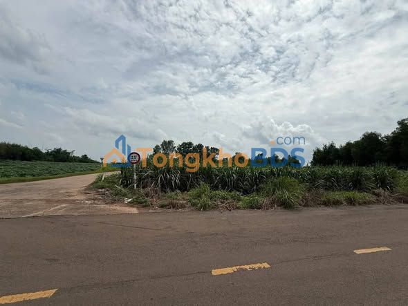 Đất Vàng Đồng Nai: 5000m² Sổ Hồng, 2 Mặt Tiền, Đường Nhựa 13 Tỷ